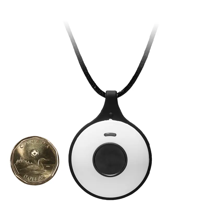 Home Cellular System - Pendant with Loonie for compairison